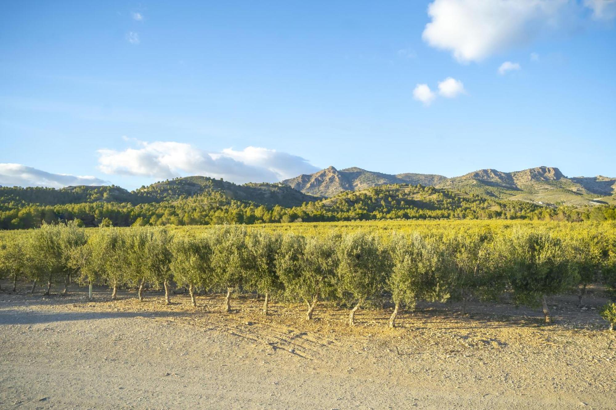 Finca El Espilo Lucar Ngoại thất bức ảnh
